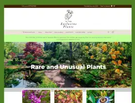 Exclusive Plants